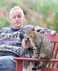 Wall Mural - Senior man with cat and dog