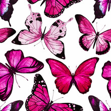 Watercolor Butterfly Pattern Vector