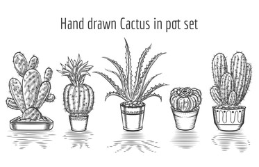 Wall Mural - Beauty cacti. Hand drawn cactus in pot set