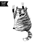 Fototapeta Koty - funny cat  character vector cat club