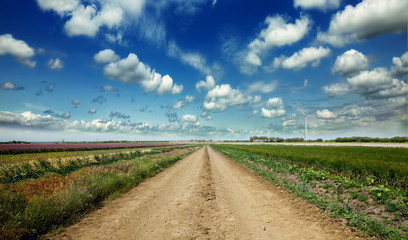 Canvas Print - Road in field