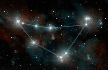 Wall Mural - The Constellation of Capricorn the Sea Goat
