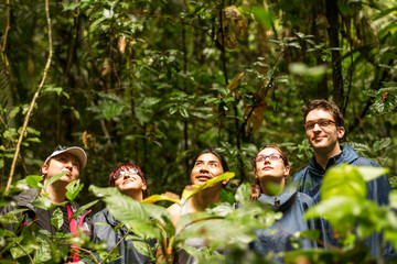 a group of tourists led by a guide explore the lush amazon rainforest in ecuador, encountering exoti
