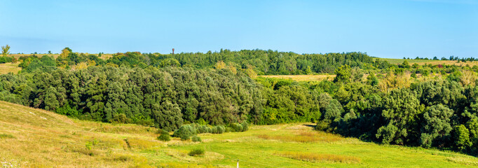 Wall Mural - Landscape of the Central Russian Upland, Europe