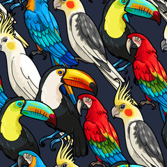 Sticker - Seamless macaw and toucan