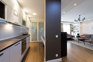 Canvas Print - Kitchen interior with a view to a living room