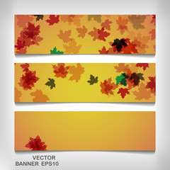 Wall Mural - Set of colorful autumn leaves banners