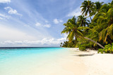 Fototapeta Sypialnia - tropical sand beach with palm trees