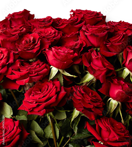 Red roses