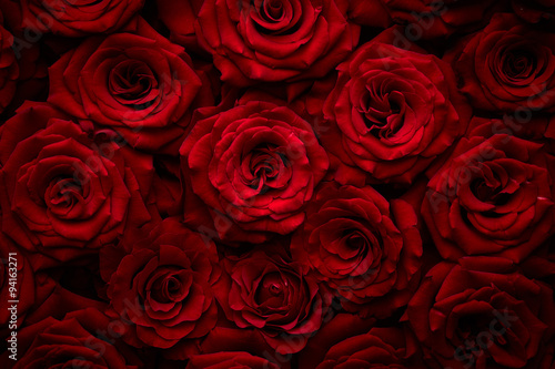 Roses background