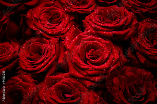 Roses with drops of water