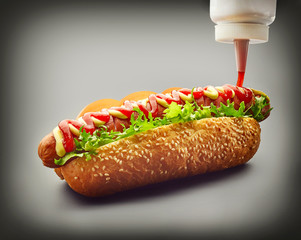 Wall Mural - Hot dog with ketchup