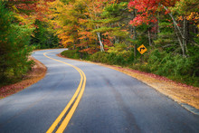 Winding Road Through Autumn Trees In New England