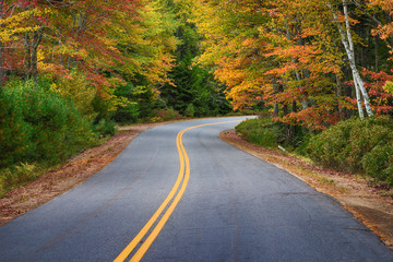 Wall Mural - winding road through autumn trees in new england