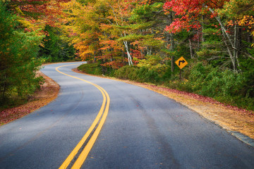 Wall Mural - winding road through autumn trees in new england
