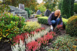 Planting Calluna on a Grave in Autumn, Germany