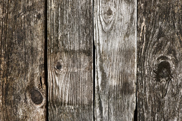 Poster - Wooden background