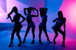 © deagreez - silhouettes of dancing girls