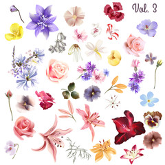 Wall Mural - Mega collection of high detailed vector flowers for design