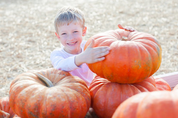 Canvas Print - kid at pumpkin patch