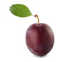 plum isolate