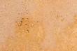 Sandstein Hintergrund Textur
