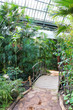 © Jonathan Stutz - serre tropicale - Lyon