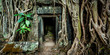 Ancient stone door and tree roots, Ta Prohm temple