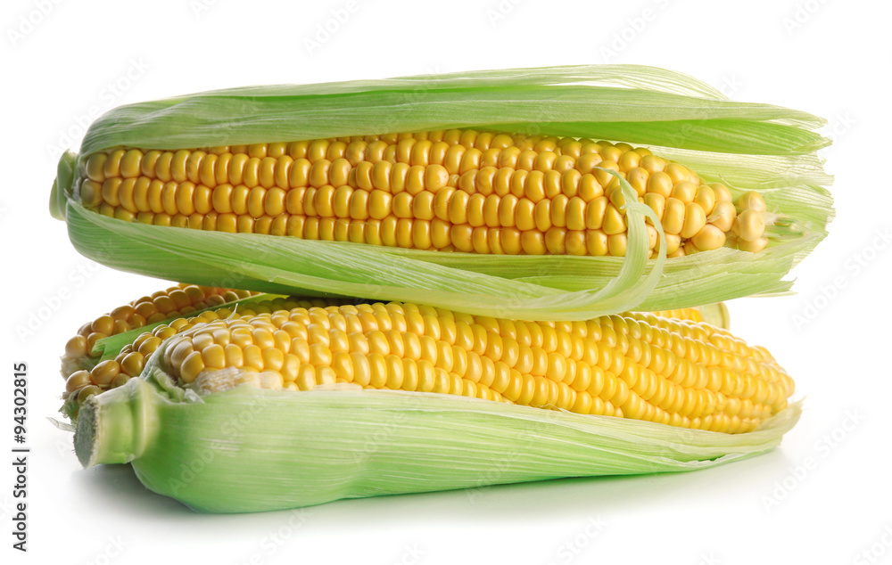 Ripe corn isolated on white