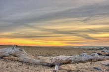 Large Driftwood Log Makes Perfect Seating To View Beach Sunset.