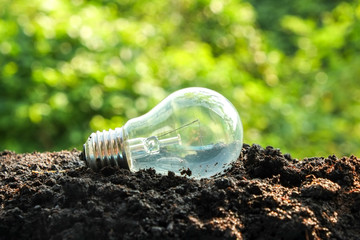 idea and energy concept Light bulb in soil