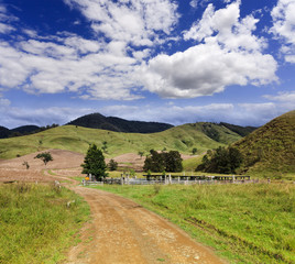 Wall Mural - BTops Cattle Station Farm