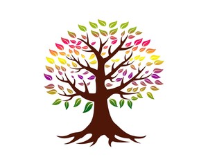 Wall Mural - color tree