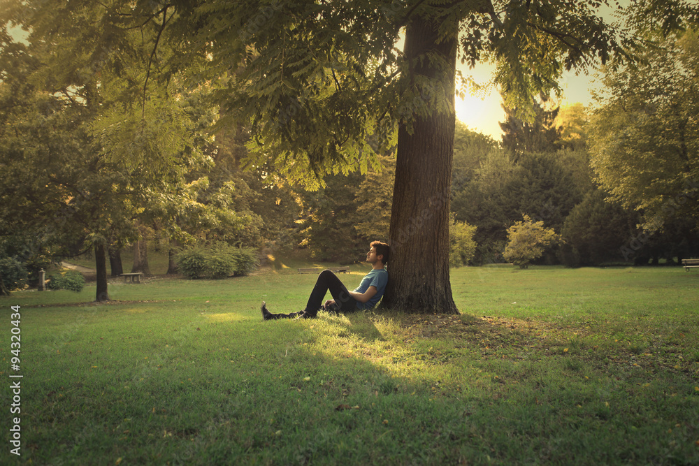 Man sitting under a pine tree - obrazy, fototapety, plakaty 