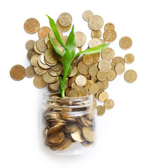 Sticker - Plant growing in coins scattered from the bottle