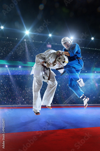 Fototapeta na szkło Two kudo fighters are fighting on the grand arena