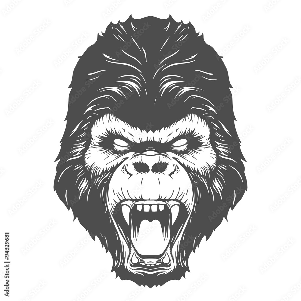 Gorilla head illustration Stock Vector | Adobe Stock