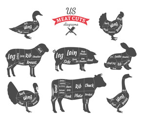 Wall Mural - American (US) Meat Cuts Diagrams