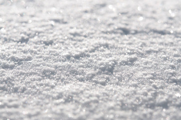 Wall Mural - White snow surface close up and flakes background