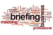 © ibreakstock - Briefing word cloud concept