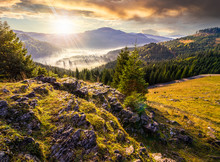 View From A Rocky Cliff To Full Of Fog Valley With Conifer Forest In High Mountains Of Apuseni Natural Park In Romania In Evening Light