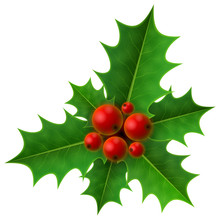 Christmas Holly Berry Isolated On White. Holly Fruits With Leaf