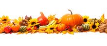 Autumn Decoration. Thanksgiving Background