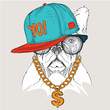 The poster with the image dog portrait in hip-hop hat. Vector illustration.