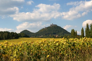 Wall Mural - Castle and hills  Bezdez in northern Bohemia, Czech republic