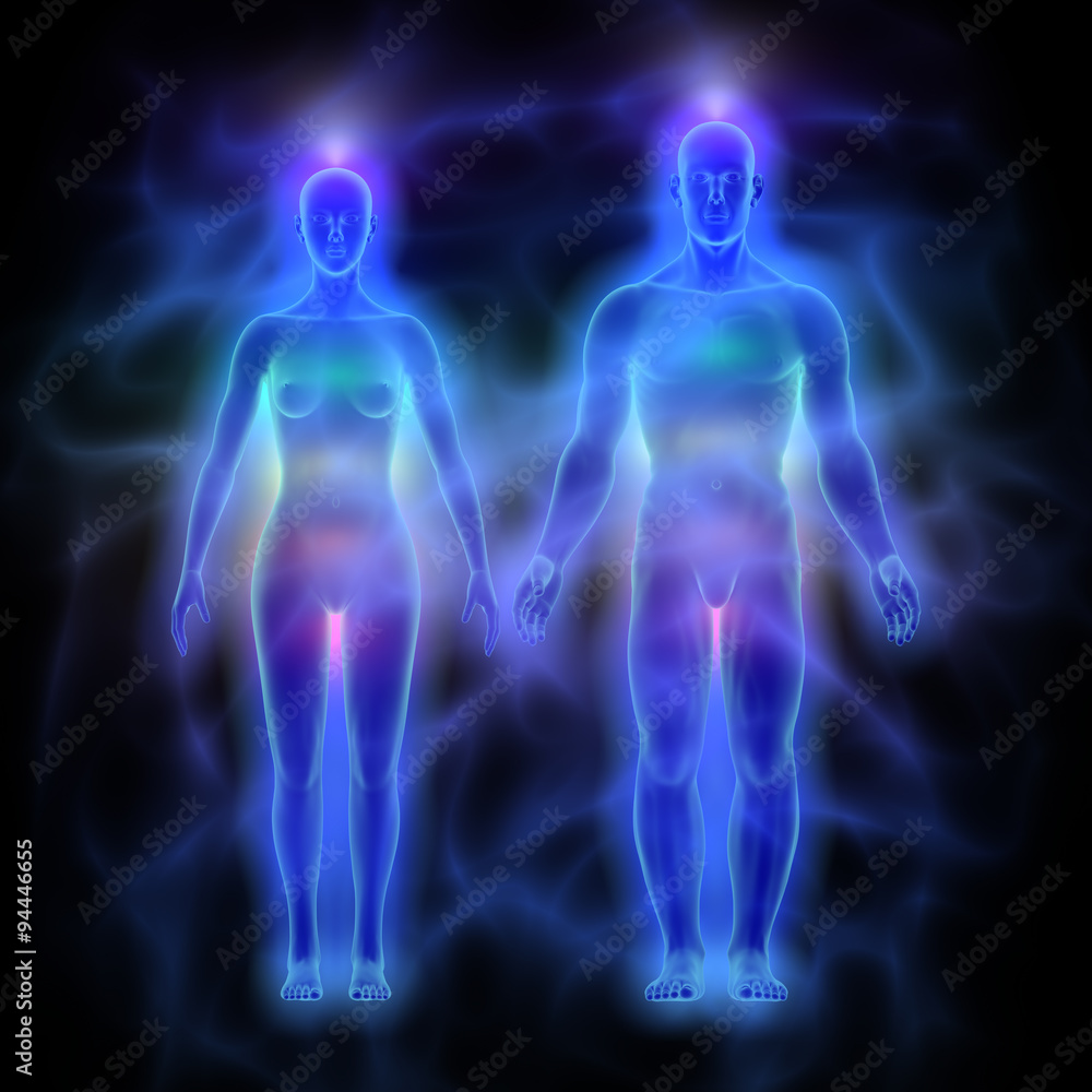 Human energy body (aura) with chakras - woman and man Stock ...