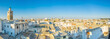 Panorama of Tunis roofs