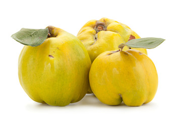 Quince fruit closeup