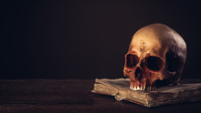 Human Skull On An Open Ancient Book