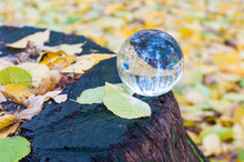 Glass Transparent Ball With Yellow Autumn Leaves Background And Wooden Surface. Soft Focus. With Empty Space For Text